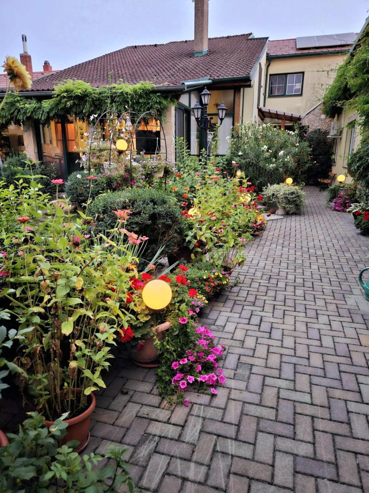 Ferienwohnung Koppi Pamhagen Exterior foto