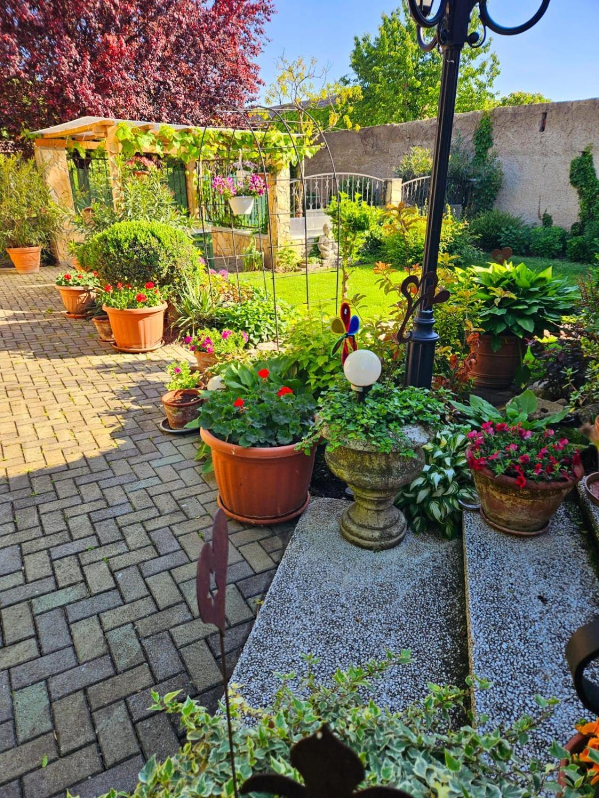 Ferienwohnung Koppi Pamhagen Exterior foto