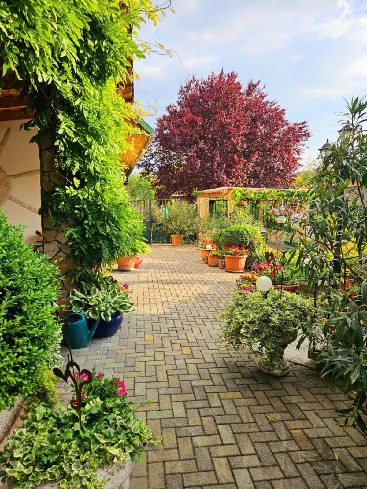 Ferienwohnung Koppi Pamhagen Exterior foto