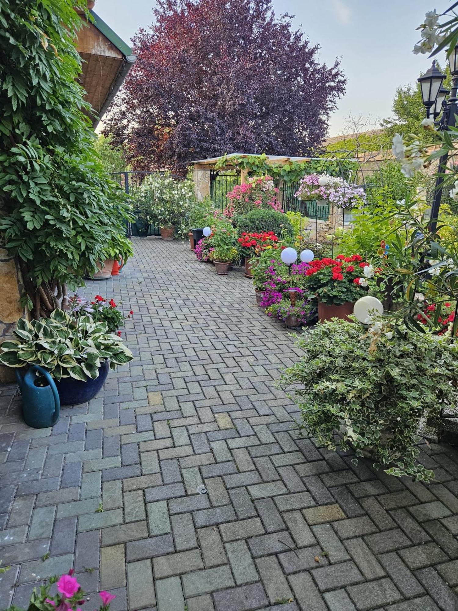 Ferienwohnung Koppi Pamhagen Exterior foto